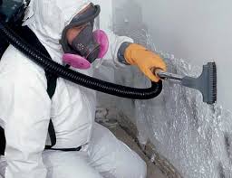 Best Mold Damage Restoration  in Carlinvle, IL